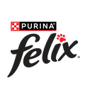 FELIX